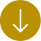 Bristol Dental Specialists down arrow